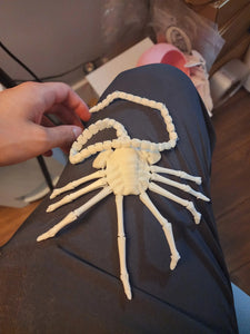 Facehugger Replica Prop – Articulated Alien Horror Collectible