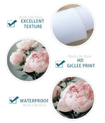 Load image into Gallery viewer, Star Trek Enterprise Blueprint Wall Art – Starship Anatomy Revealed
