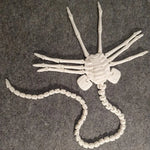 Load image into Gallery viewer, Facehugger Replica Prop – Articulated Alien Horror Collectible
