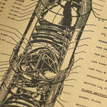 Load image into Gallery viewer, Saturn 5 Rocket Layout
